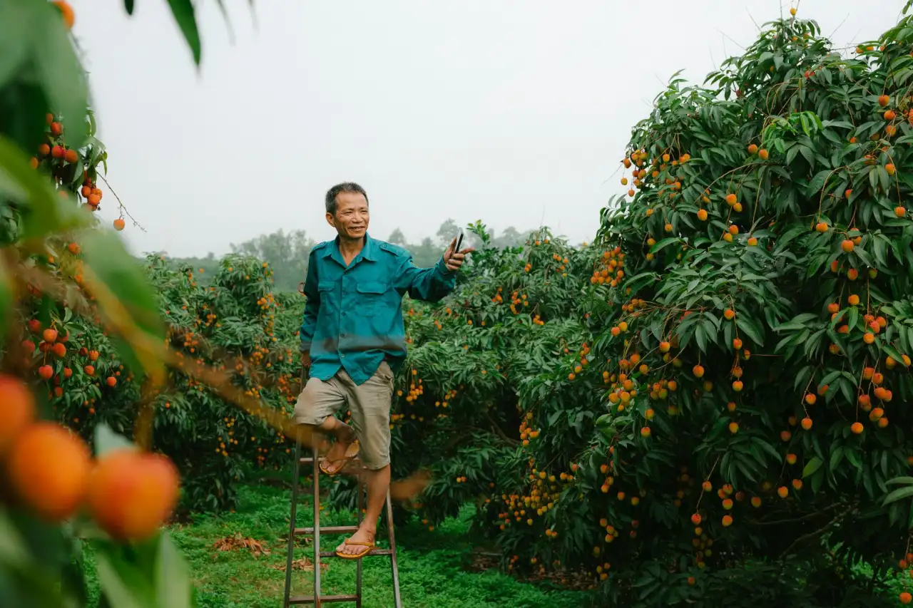 供应链管理中的仓储物流：重庆企业如何优化货物周转流程
