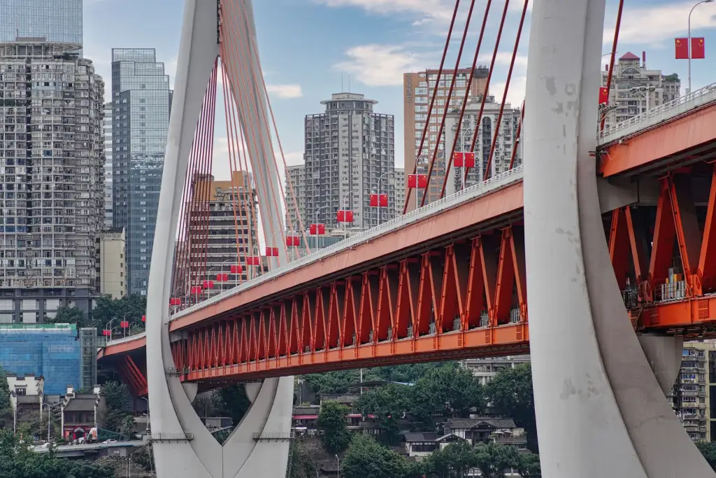 重庆中织盛商贸同城配送服务效率提升与成本优化方案