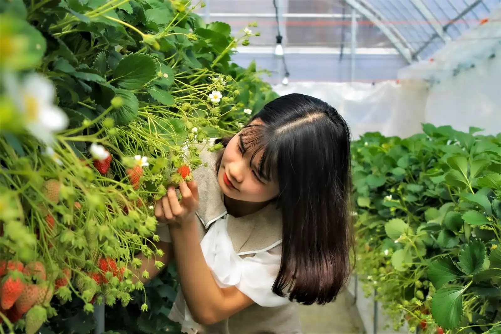 商贸服务中的仓储物流成本控制要点与供应链管理实践
