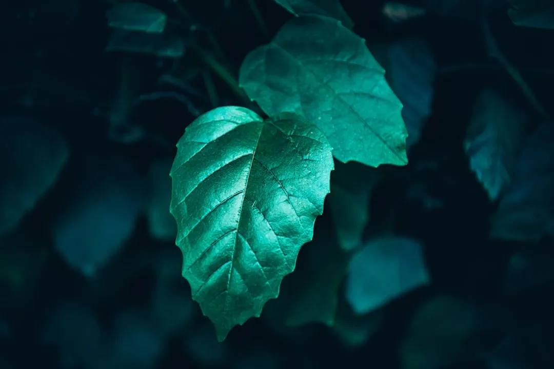 重庆同城配送效率提升：供应链管理中的仓储优化策略