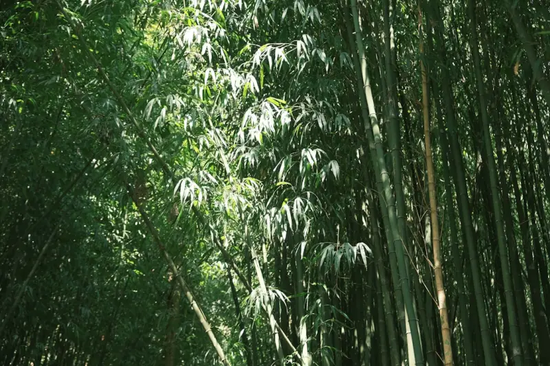 重庆同城配送效率提升的关键技术与实践路径