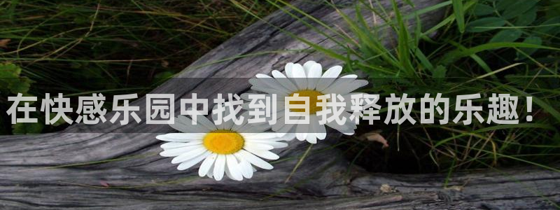 哔咔漫画破