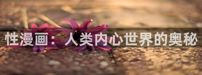 哔咔漫画官网免费入口