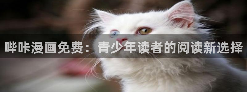 哔咔漫画破解版永久免费官网版