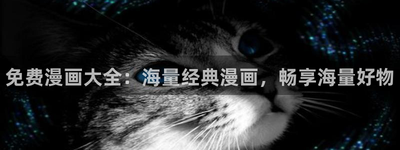 哔咔漫画打不开