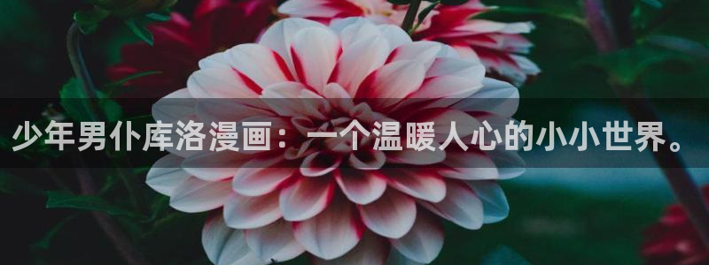 苹果怎么安装哔咔漫画