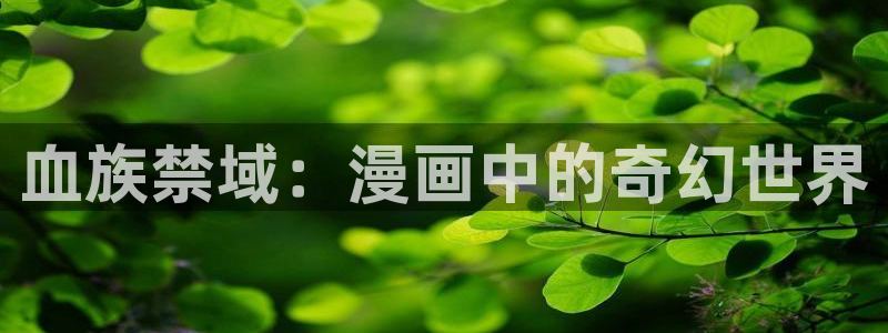 哔咔漫画的会员