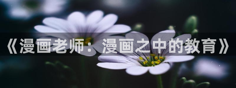 哔咔漫画vip兑换