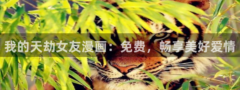哔咔漫画网页版本