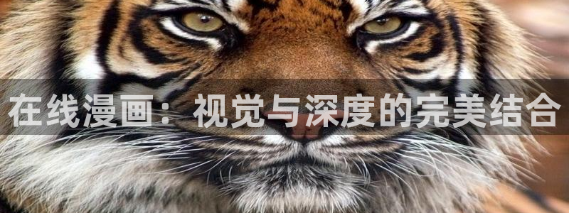 picacg哔咔漫画下载网址