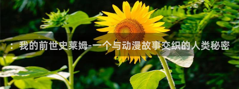 哔咔漫画无法注册