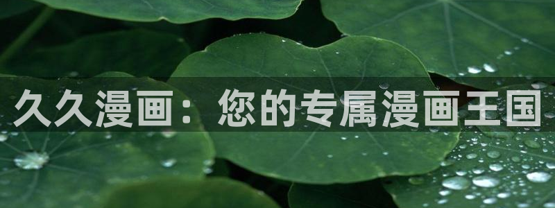 哔咔漫画在哪下载
